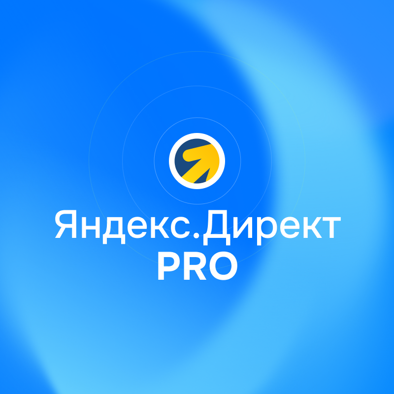 Контекстная реклама в ЯНДЕКС. ДИРЕКТ PRO