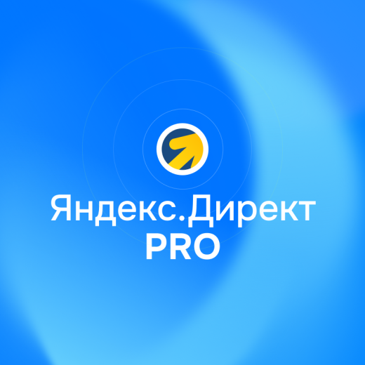 Контекстная реклама в ЯНДЕКС. ДИРЕКТ PRO