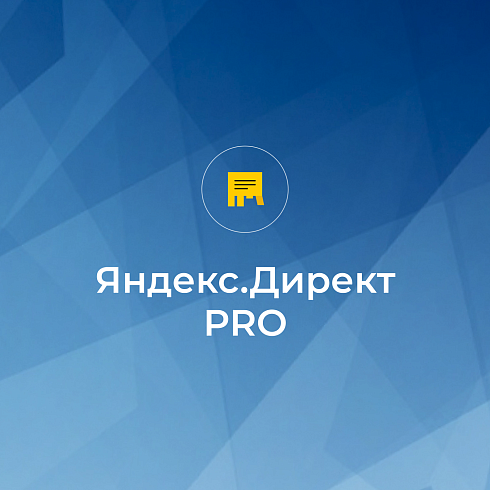Контекстная реклама в ЯНДЕКС. ДИРЕКТ PRO